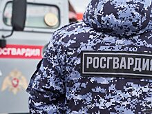 Свердловские росгвардейцы изъяли в Нижнем Тагиле 25 тонн контрафакта
