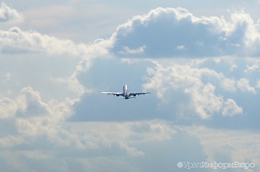 Российские авиакомпании потеряли пятую часть пассажиропотока