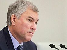 Внук Мохаммеда Али выступит в одном карде с Василием Ломаченко