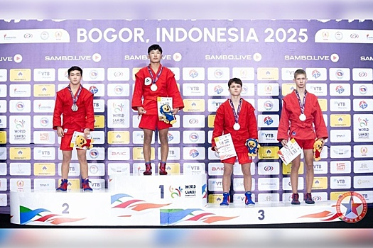 Губернатор Александр Авдеев поздравил владимирских спортсменов-призеров всероссийских турниров