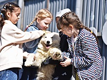 В Челябинске благодаря совместным играм и общению с животными особые дети учатся дружить со сверстниками