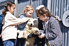 В Челябинске благодаря совместным играм и общению с животными особые дети учатся дружить со сверстниками