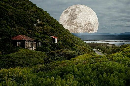 Маск призвал создать лунную базу с постоянным поселением