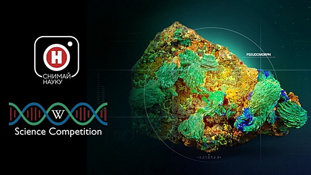 Десять фотографий конкурса «Снимай науку!» получили награды международного Wiki Science Competition