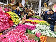 Цветоводы из России запросили антидемпинговое расследование из-за дешевого импорта