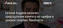 Евгений Андреев назначен председателем комитета по тарифам и ценовой политике Ленобласти