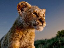 Disney потребовал треть доходов от показа "Короля Льва" для детей-инвалидов