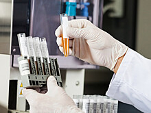 СК поймал Родченкова на бутылках