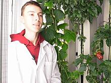 Студент Чувашского аграрного госуниверситета справился с капризами самого острого перца в мире