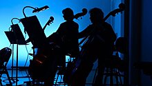 На шоу "Щелкунчик 2" выступит Венский симфонический оркестр