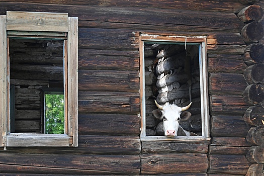 Депутат ГД Чаплин: пока нет механизма, позволяющего изымать неиспользуемые земли