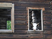 Депутат ГД Чаплин: пока нет механизма, позволяющего изымать неиспользуемые земли