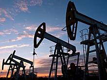 Глава TotalEnergies назвал введение потолка цен на нефть из России плохой идеей