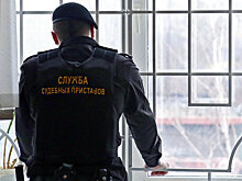 За полгода на коллекторов пожаловались 6,7 тысяч раз