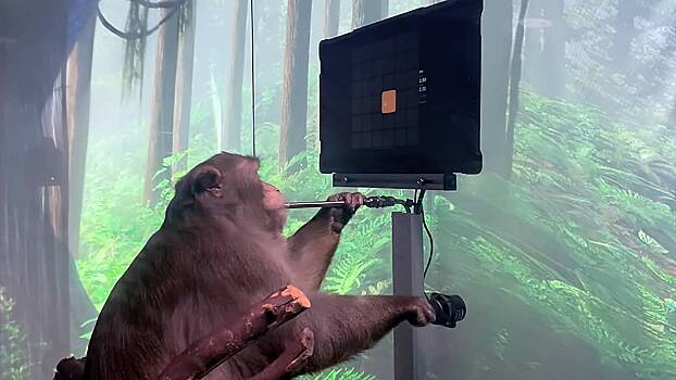 Neuralink решила проблемы с мозговым имплантом