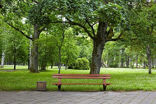Москвичи стали ходить в парки чаще, чем жители Лондона и Нью-Йорка