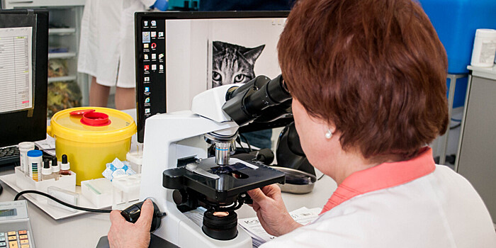 Новый способ лечения меланомы разработали российские ученые