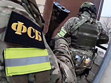 Опасный пост и иностранный пистолет: в Подмосковье задержан призывавший к убийству силовиков