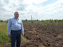 Под Саратовом восстанавливают лесной питомник