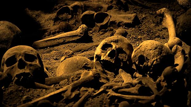 В Испании нашли останки самого древнего европейца