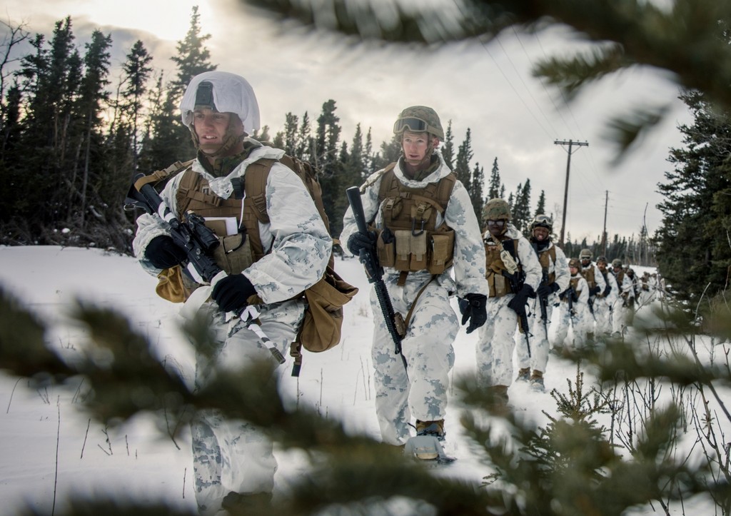 Bloomberg: шестьсот морпехов НАТО едва не замерзли в ходе учений в Арктике