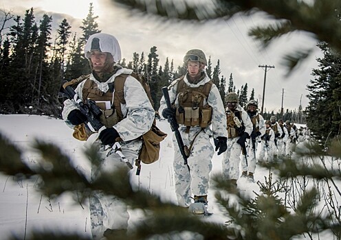 Шестьсот морпехов НАТО едва не замерзли в ходе учений в Арктике