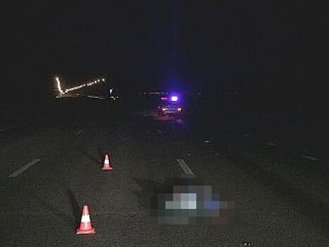 В Башкирии женщину насмерть переехал грузовик