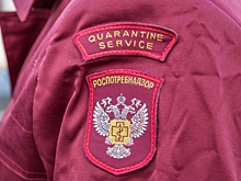 Роспотребнадзор выявил рост эффективности контроля за маркировкой