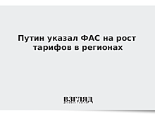Путин указал ФАС на рост тарифов ЖКХ в регионах