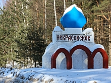 В Некрасовском районе Ярославской области избран новый глава
