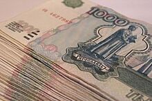 Владимирский бизнесмен, торговавший мехами, утаил 226 млн рублей налогов
