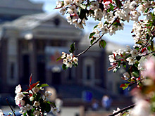 В Челябинске на Театральной площади временно будет закрыта парковка