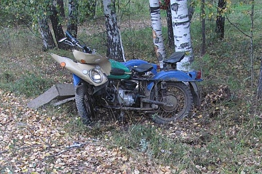 На Южном Урале мотоциклист протаранил дерево