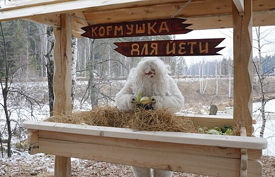 В Челябинской области установили кормушку для Йети