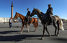 Всадники общественного порядка. Как в Петербурге возрождают конную полицию