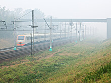 Автобус с туристами столкнулся с поездом в Ленинградской области