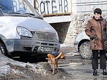 Карельской полиции вернули право штрафовать нарушителей общественного порядка