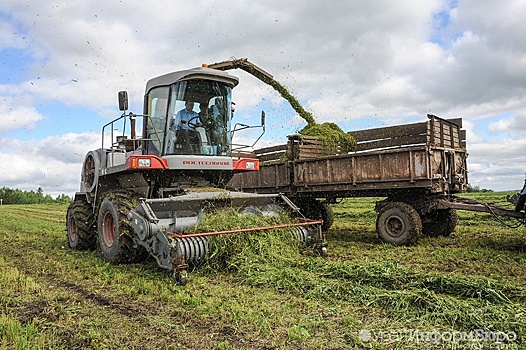 Недостроенному "Итальянскому кварталу" на Шарташе нашли применение