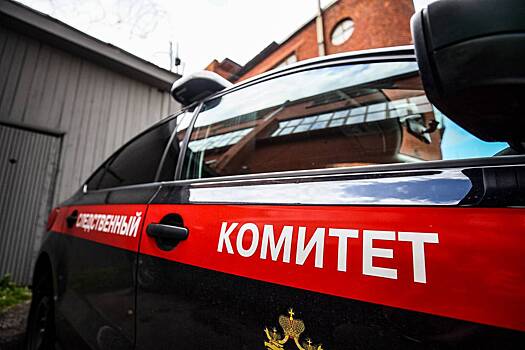 Обманчивый силуэт волка привел российского охотника к уголовному делу