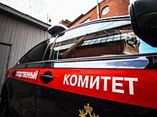 Обманчивый силуэт волка привел российского охотника к уголовному делу