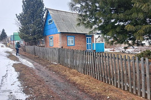 Срочно белить яблони призвала новосибирских дачников профессор НГАУ Титова