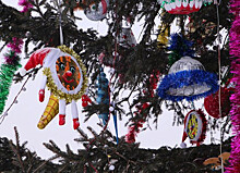 Облавы на новогоднюю радость начались во Владивостоке