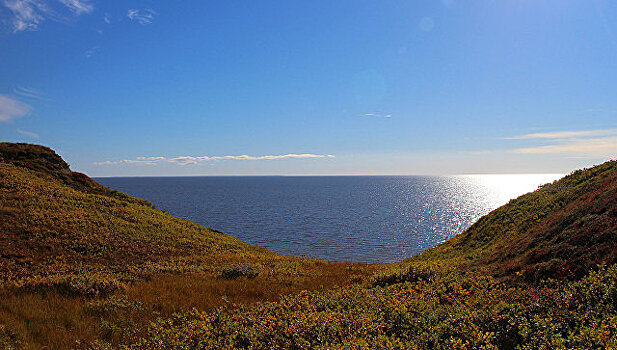Берег Карского моря ежегодно отступает