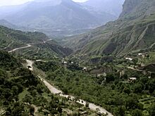 На Кавказе нашли новый вид растений с листьями-сердечками