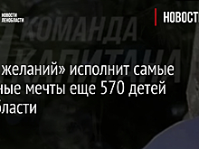 «Ёлка желаний» исполнит самые заветные мечты еще 570 детей Ленобласти