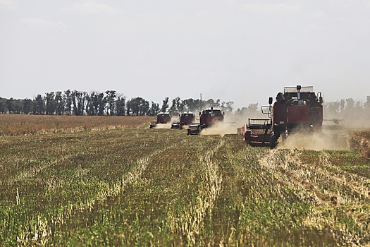 МИД РФ: Шансы на продление зерновой сделки стремятся к нулю