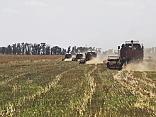 МИД РФ: Шансы на продление зерновой сделки стремятся к нулю