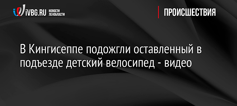 В Кингисеппе подожгли оставленный в подъезде детский велосипед - видео