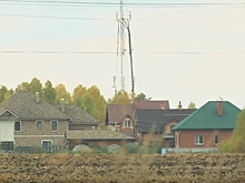Поселок Солнечный задыхается от запаха куриного помета