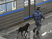 В метро Москвы устроили поножовщину